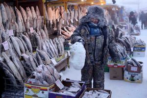 piata centrala din Yakutsk este plina de pesti si carne intrucat legumele nu cresc acolo